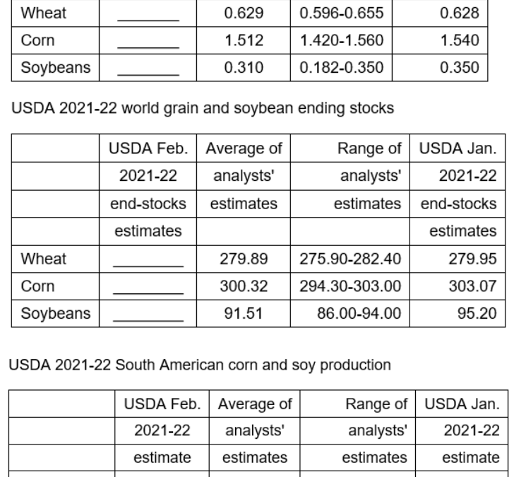 FI Mid Morning Grain Comments 02/09/22
